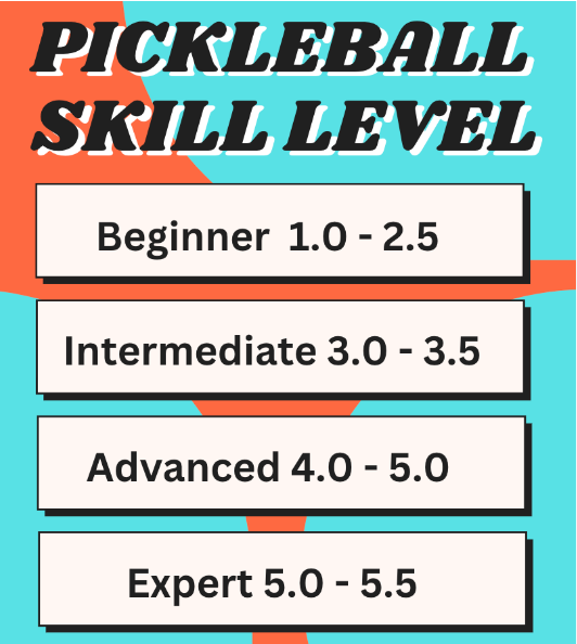 Pickleb all skill level chart: beginner to expert ratings.